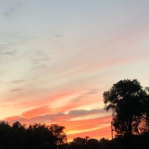 Meet your Posher, Jelina